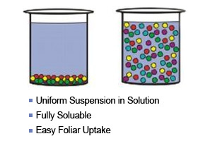 Foliar Fertilization