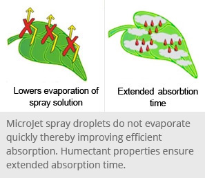 Foliar Fertilization
