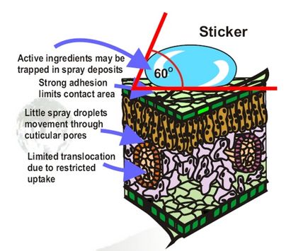 Surfactants Surfactants
