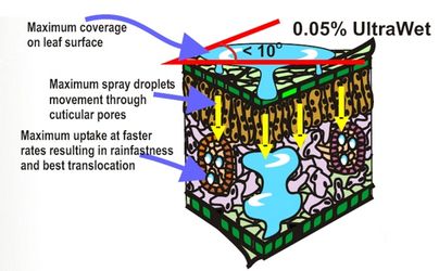 Surfactants Surfactants